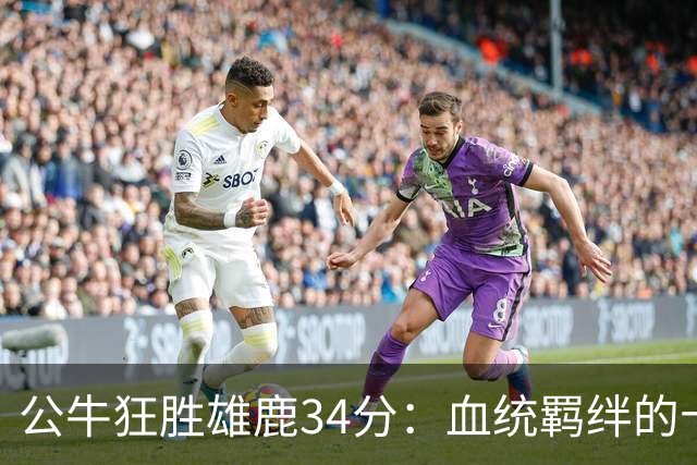 公牛狂胜雄鹿34分：血统羁绊的十号秀精彩呐喊
